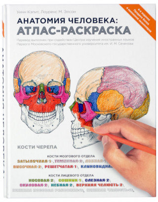 Анатомия человека: атлас-раскраска