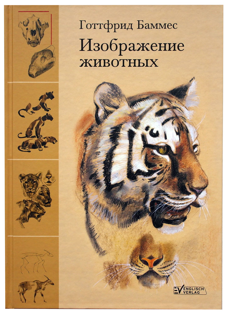 Изображение животных