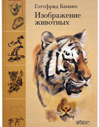 Изображение животных