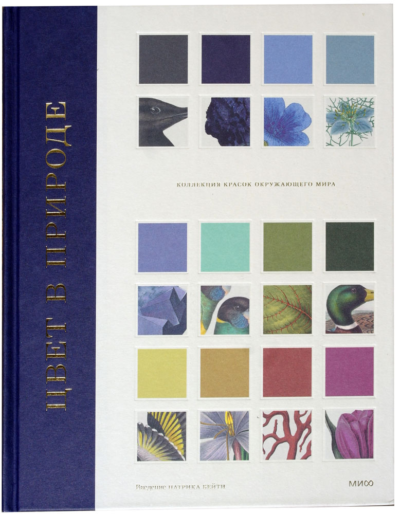 Цвет в природе