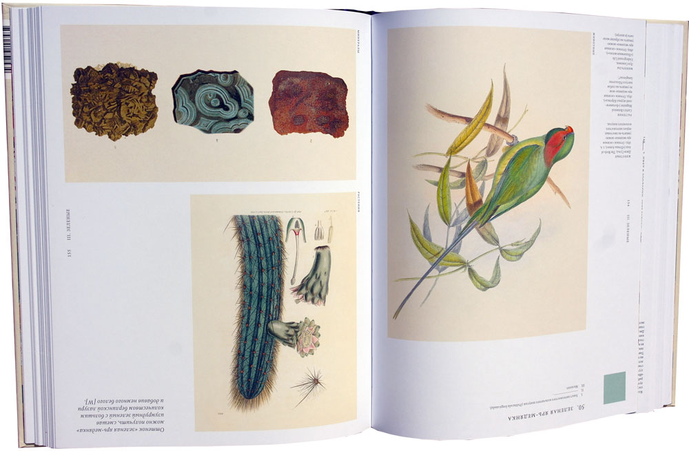 Цвет в природе