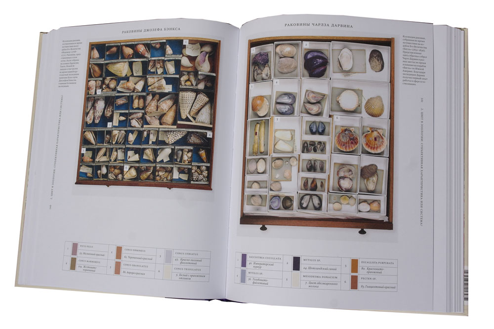 Цвет в природе