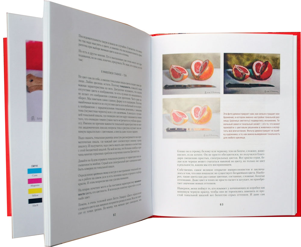 Книга про цвет. В жизни и живописи